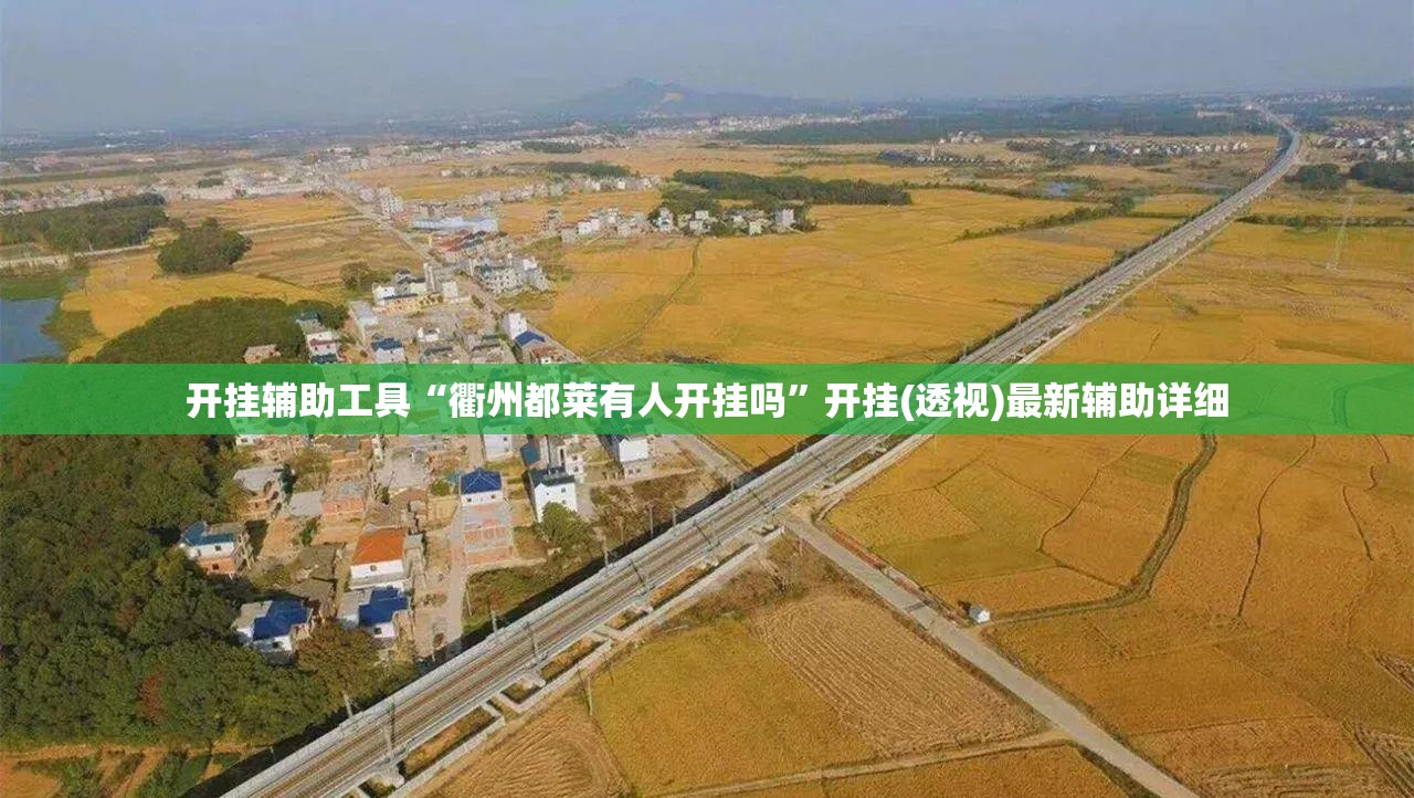 开挂辅助工具“衢州都莱有人开挂吗”开挂(透视)最新辅助详细