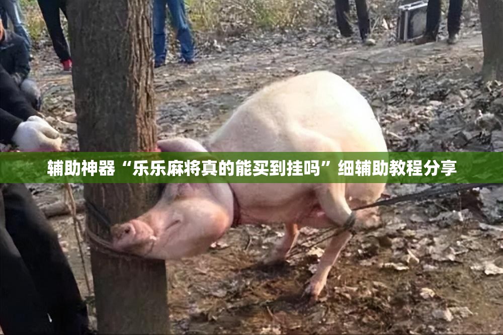 辅助神器“乐乐麻将真的能买到挂吗”细辅助教程分享