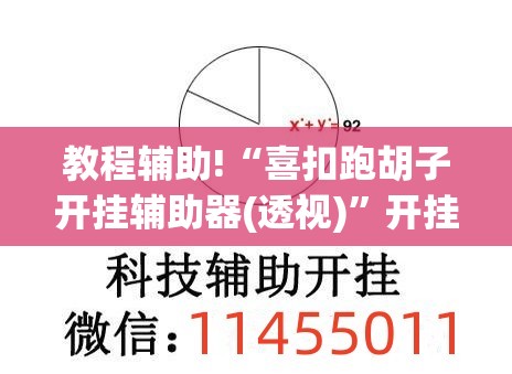 教程辅助!“喜扣跑胡子开挂辅助器(透视)”开挂辅助脚本+详细开挂安装教程