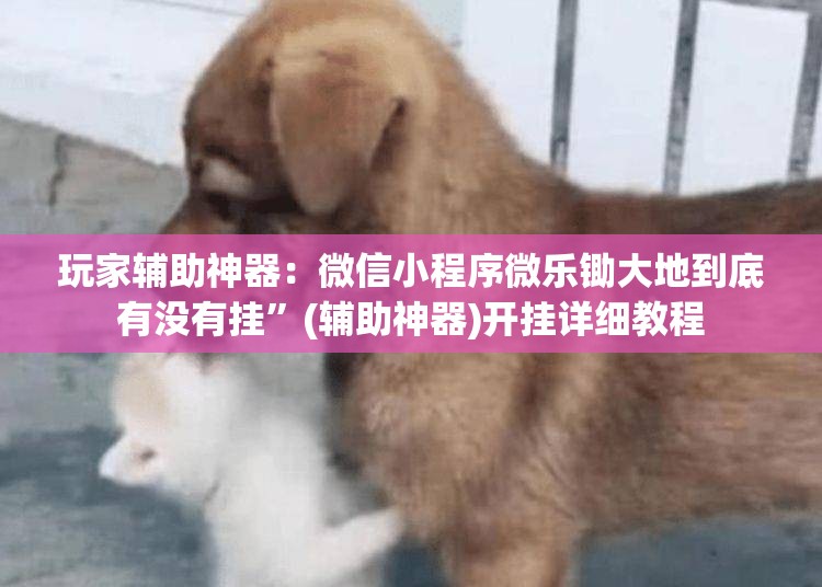 玩家辅助神器：微信小程序微乐锄大地到底有没有挂	”(辅助神器)开挂详细教程