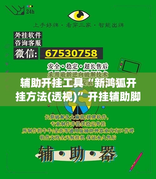 辅助开挂工具“新鸿狐开挂方法(透视)	”开挂辅助脚本+详细开挂安装教程