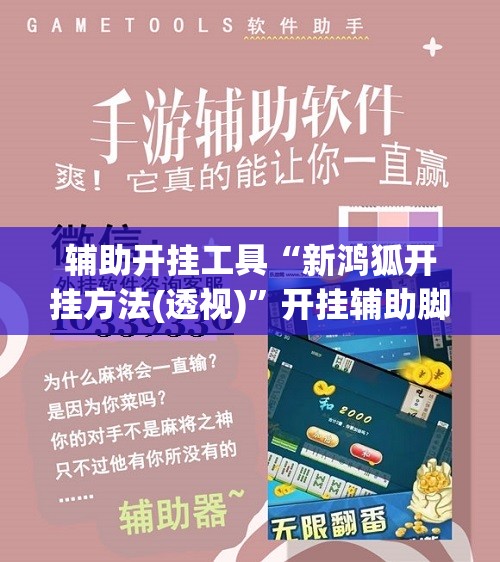 辅助开挂工具“新鸿狐开挂方法(透视)”开挂辅助脚本+详细开挂安装教程