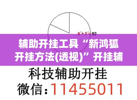 辅助开挂工具“新鸿狐开挂方法(透视)”开挂辅助脚本+详细开挂安装教程