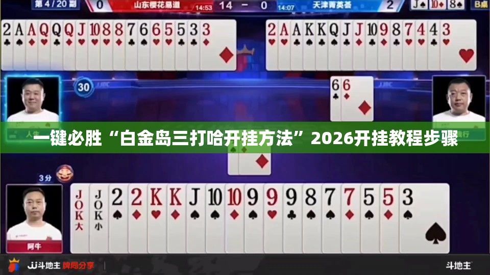 一键必胜“白金岛三打哈开挂方法”2026开挂教程步骤