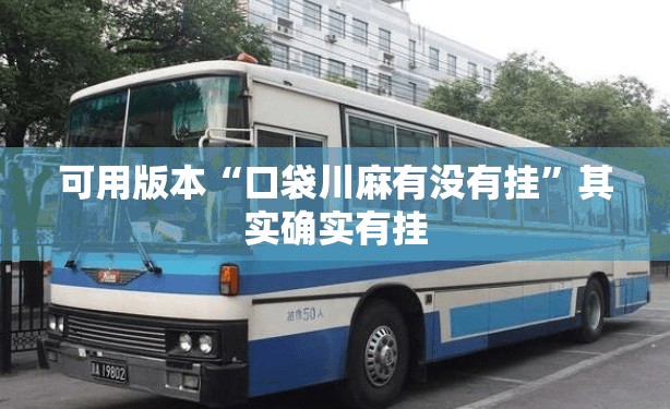 可用版本“口袋川麻有没有挂”其实确实有挂