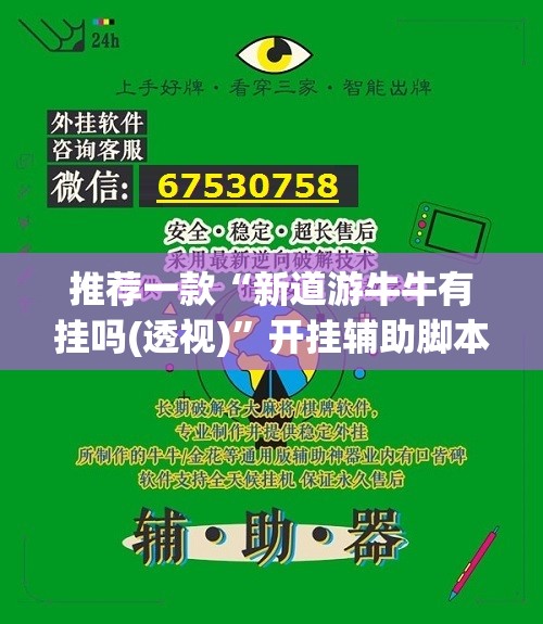 推荐一款“新道游牛牛有挂吗(透视)”开挂辅助脚本+详细开挂安装教程