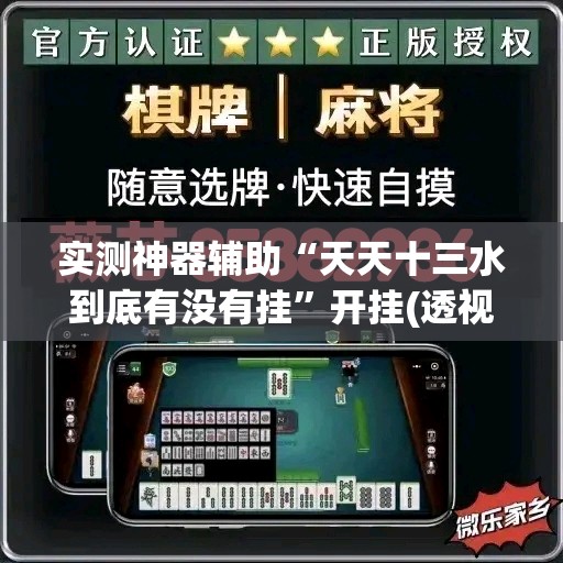 实测神器辅助“天天十三水到底有没有挂”开挂(透视)最新辅助详细
