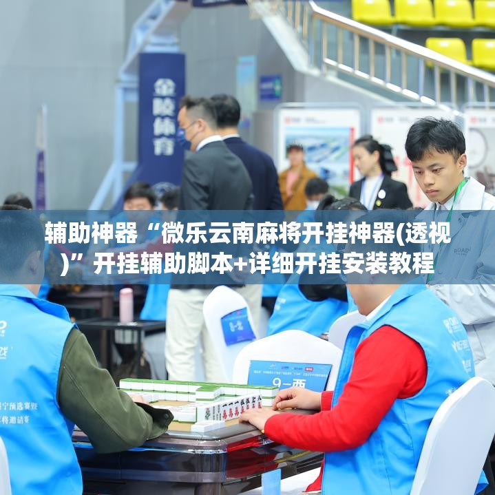 辅助神器“微乐云南麻将开挂神器(透视)	”开挂辅助脚本+详细开挂安装教程