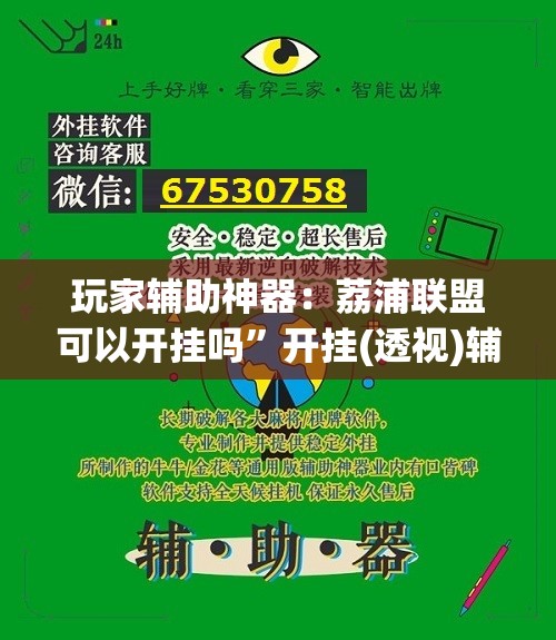 玩家辅助神器：荔浦联盟可以开挂吗”开挂(透视)辅助教程