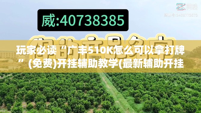 玩家必读“广丰510K怎么可以拿打牌”(免费)开挂辅助教学(最新辅助开挂教程)