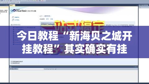 今日教程“新海贝之城开挂教程”其实确实有挂