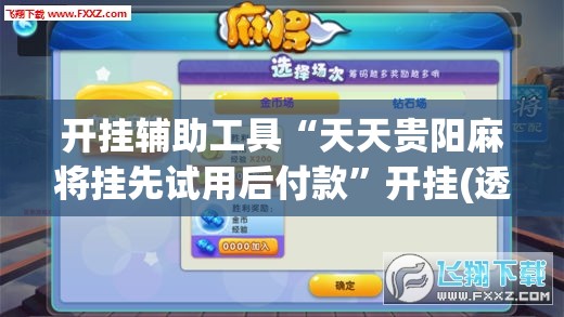 开挂辅助工具“天天贵阳麻将挂先试用后付款”开挂(透视)辅助神器
