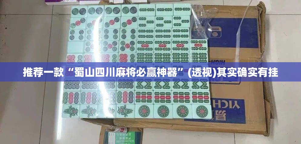 推荐一款“蜀山四川麻将必赢神器”(透视)其实确实有挂