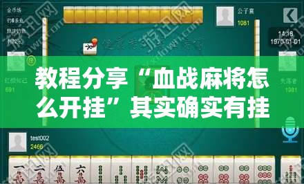 教程分享“血战麻将怎么开挂”其实确实有挂