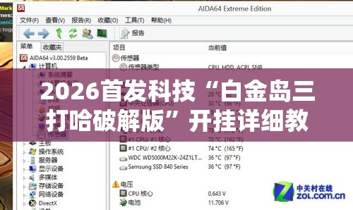 2026首发科技“白金岛三打哈破解版	”开挂详细教程