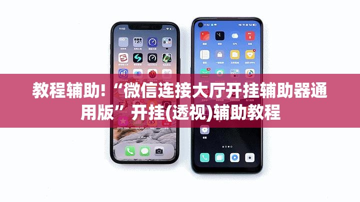 教程辅助!“微信连接大厅开挂辅助器通用版”开挂(透视)辅助教程
