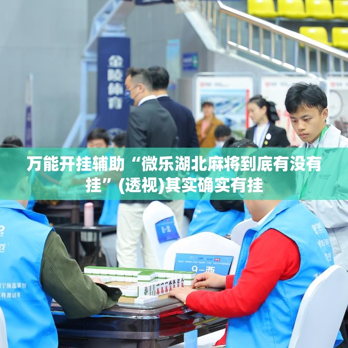万能开挂辅助“微乐湖北麻将到底有没有挂”(透视)其实确实有挂