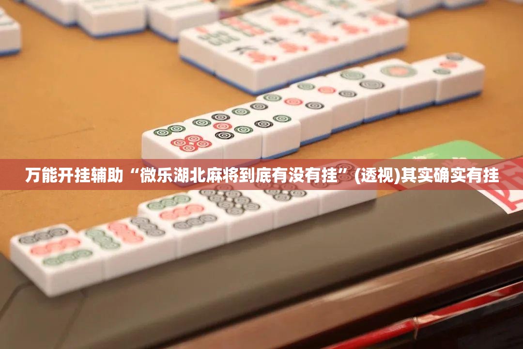 万能开挂辅助“微乐湖北麻将到底有没有挂”(透视)其实确实有挂