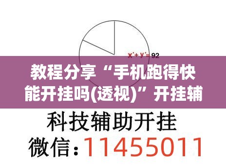 教程分享“手机跑得快能开挂吗(透视)”开挂辅助脚本+详细开挂安装教程