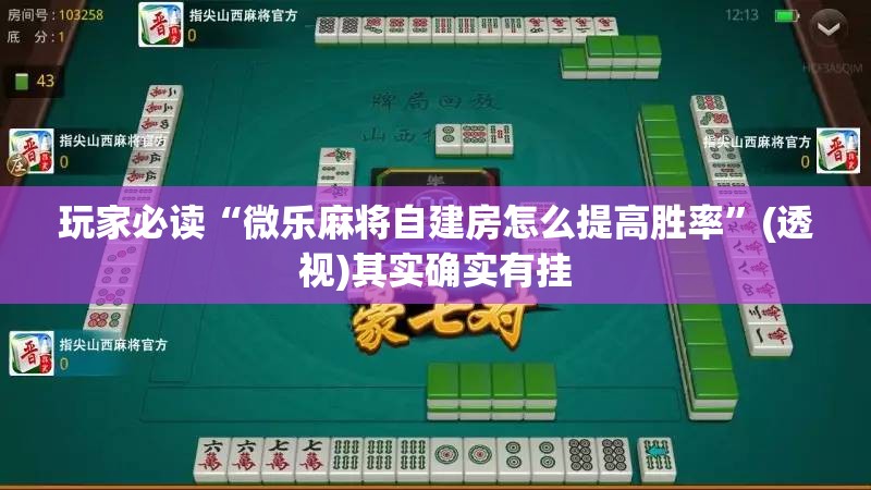 玩家必读“微乐麻将自建房怎么提高胜率”(透视)其实确实有挂