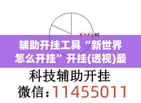 辅助开挂工具“新世界怎么开挂”开挂(透视)最新辅助详细