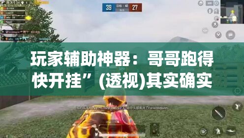 玩家辅助神器：哥哥跑得快开挂”(透视)其实确实有挂