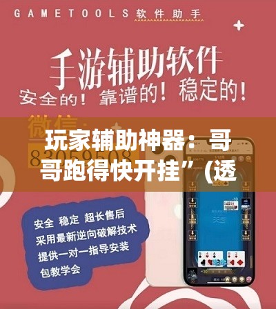 玩家辅助神器：哥哥跑得快开挂”(透视)其实确实有挂