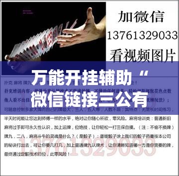 万能开挂辅助“微信链接三公有挂吗”(透视)其实确实有挂