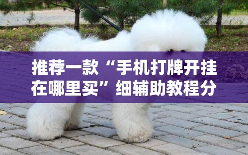 推荐一款“手机打牌开挂在哪里买”细辅助教程分享