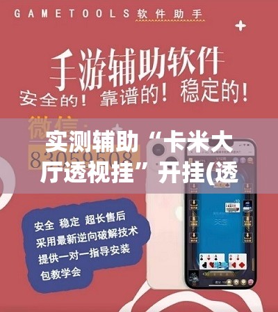 实测辅助“卡米大厅透视挂	”开挂(透视)辅助教程