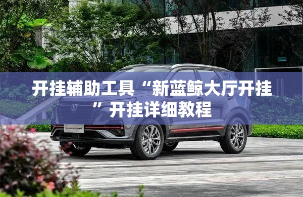 开挂辅助工具“新蓝鲸大厅开挂”开挂详细教程