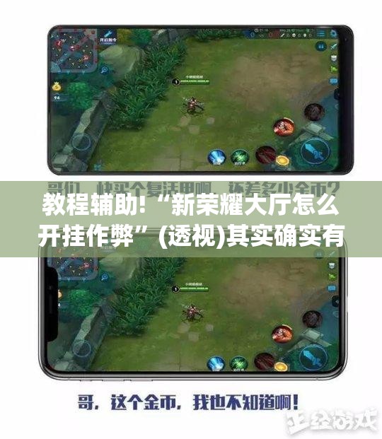 教程辅助!“新荣耀大厅怎么开挂作弊”(透视)其实确实有挂
