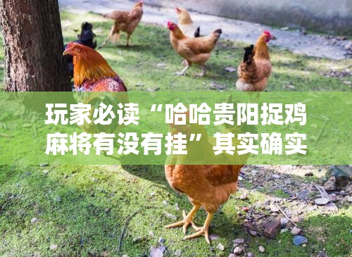 玩家必读“哈哈贵阳捉鸡麻将有没有挂”其实确实有挂