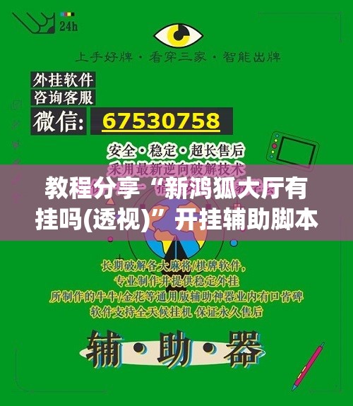 教程分享“新鸿狐大厅有挂吗(透视)”开挂辅助脚本+详细开挂安装教程
