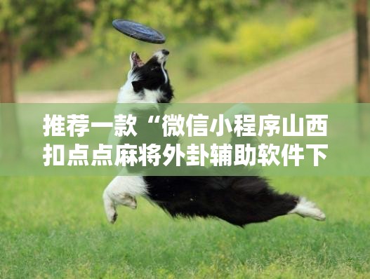 推荐一款“微信小程序山西扣点点麻将外卦辅助软件下载”开挂详细教程