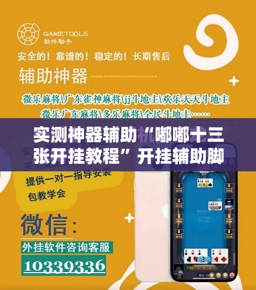 实测神器辅助“嘟嘟十三张开挂教程	”开挂辅助脚本+详细开挂安装教程