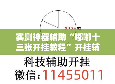 实测神器辅助“嘟嘟十三张开挂教程”开挂辅助脚本+详细开挂安装教程