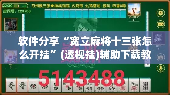软件分享“宽立麻将十三张怎么开挂	”(透视挂)辅助下载教程