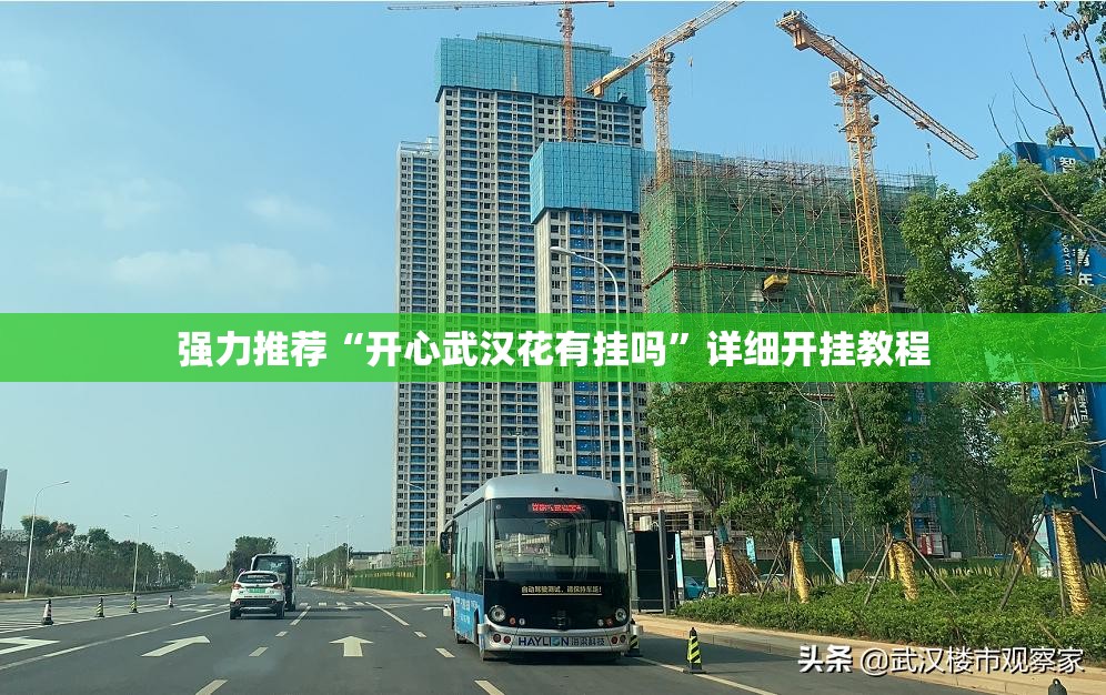 强力推荐“开心武汉花有挂吗	”详细开挂教程