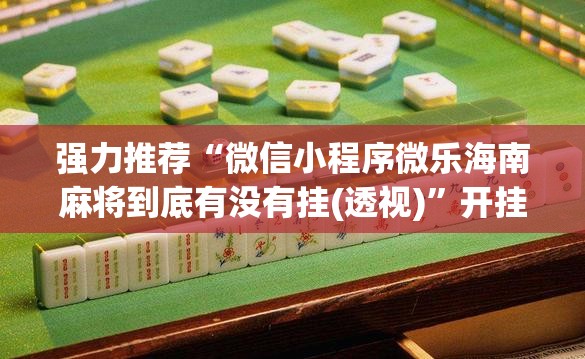 强力推荐“微信小程序微乐海南麻将到底有没有挂(透视)”开挂辅助脚本+详细开挂安装教程