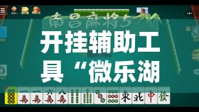 开挂辅助工具“微乐湖南麻将到底有没有挂”详细开挂教程