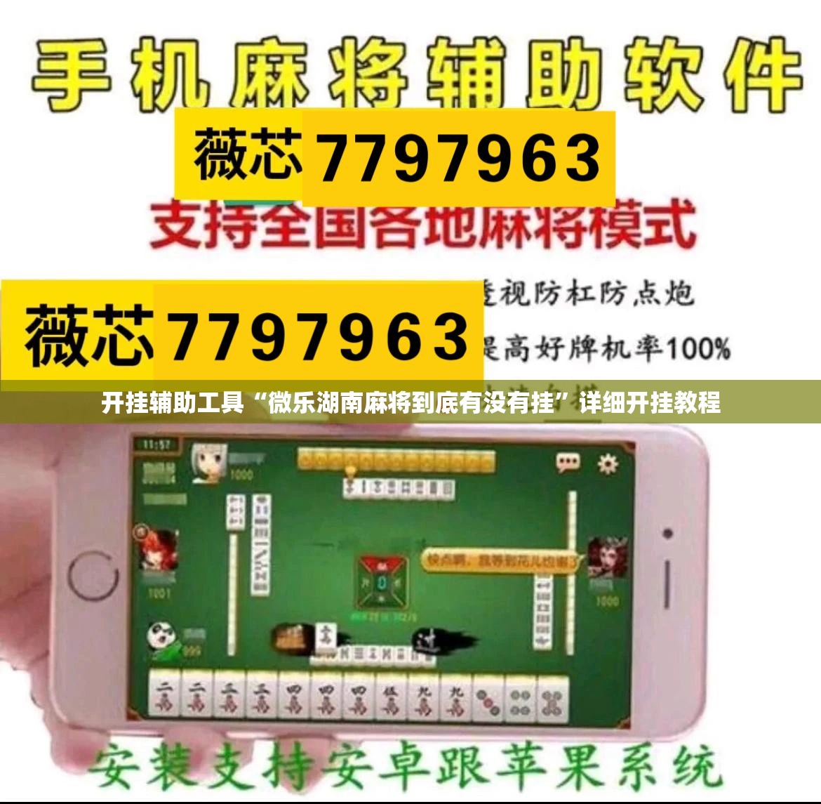 开挂辅助工具“微乐湖南麻将到底有没有挂	”详细开挂教程