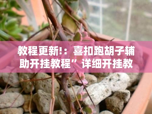 教程更新!：喜扣跑胡子辅助开挂教程”详细开挂教程