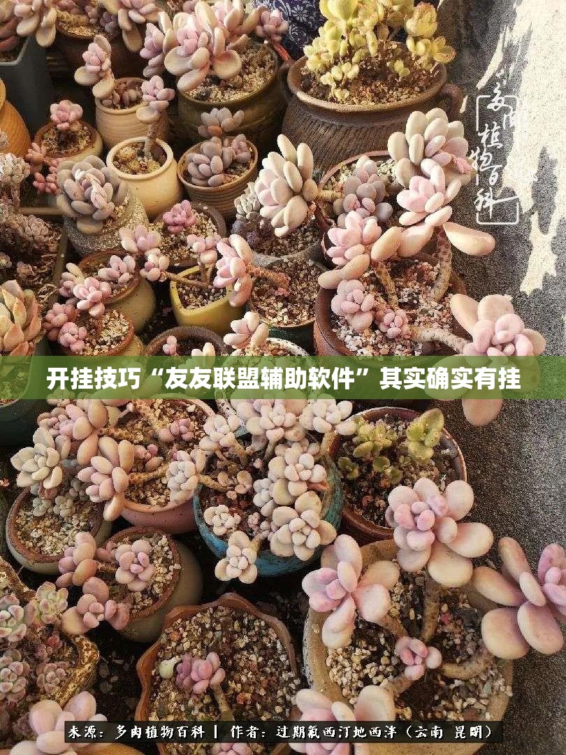 开挂技巧“友友联盟辅助软件”其实确实有挂