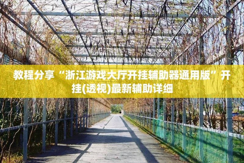 教程分享“浙江游戏大厅开挂辅助器通用版”开挂(透视)最新辅助详细
