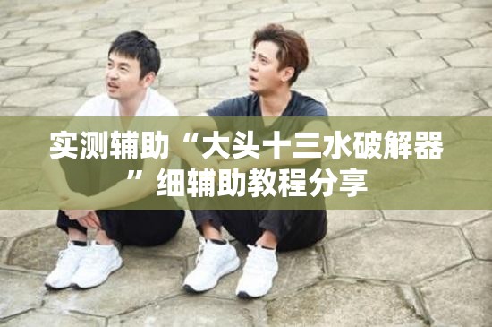 实测辅助“大头十三水破解器”细辅助教程分享