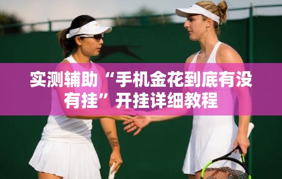 实测辅助“手机金花到底有没有挂”开挂详细教程