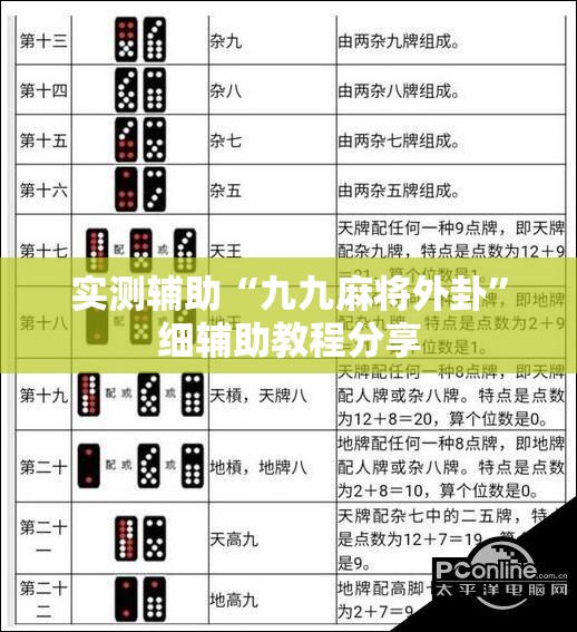 实测辅助“九九麻将外卦”细辅助教程分享