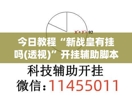 今日教程“新战皇有挂吗(透视)”开挂辅助脚本+详细开挂安装教程