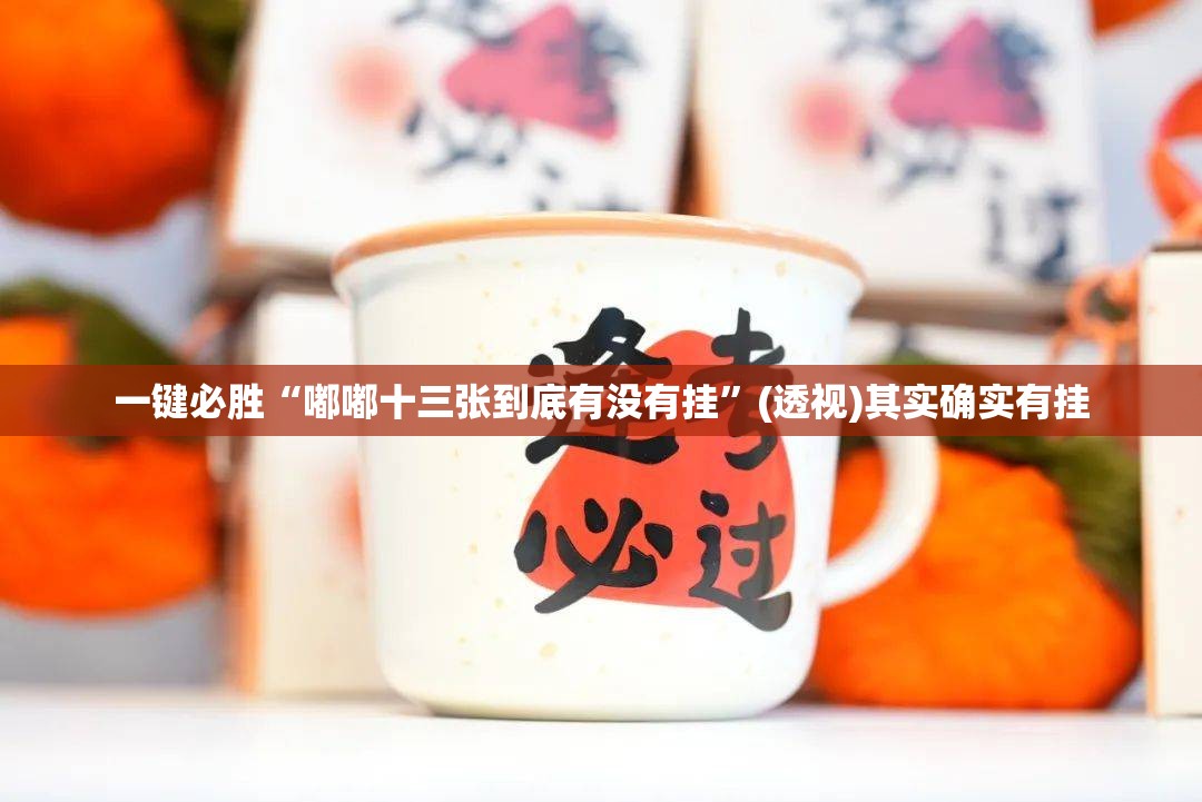 一键必胜“嘟嘟十三张到底有没有挂”(透视)其实确实有挂